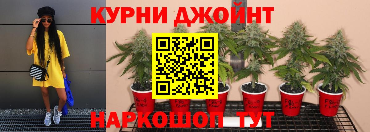 Бошки Шишки сатива  Вход с VPN  Конопля планчик  Балашиха  Бошки марихуана сатива 